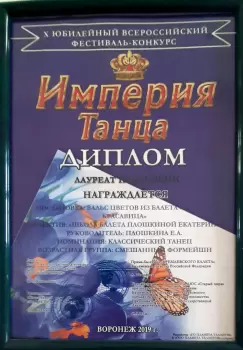 Сертификат преподавателя Плошкина Е.А.